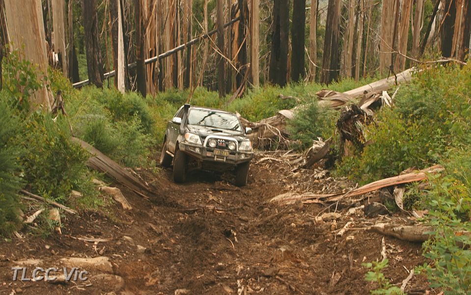 02-Tardes comes to a stop on Strickland Spur Trk.JPG